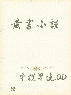 黄书小说