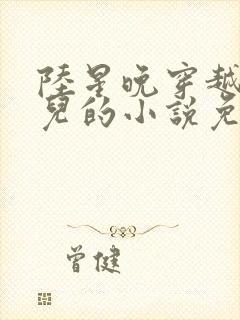 陆星晚穿越成婴儿的小说免费阅读全文