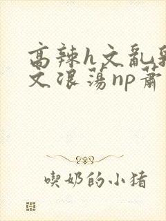 高辣h文乱乳h文浪荡np萧太后