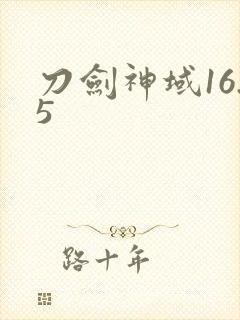 刀剑神域16.5