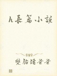 h长篇小说