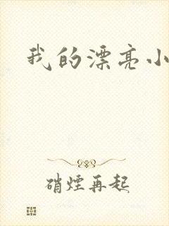 我的漂亮小后妈