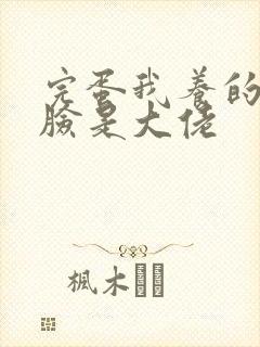 完蛋我养的小白脸是大佬