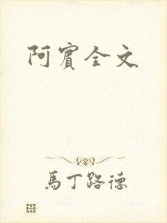 阿宾全文