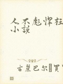 人不彪悍枉少年小说