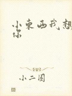 小东西我想弄坏你