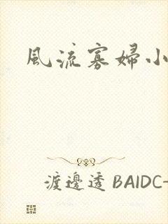 风流寡妇小说