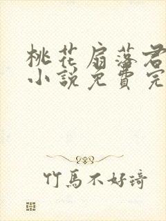 桃花扇落君不还小说免费完整版