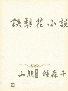 铁梨花小说