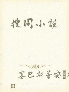搜同小说