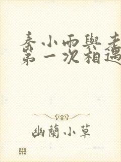 秦小雨与老旺的第一次相遇