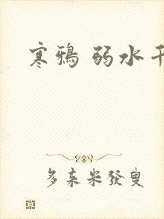 寒鸦 弱水千流