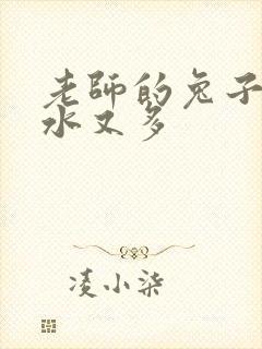 老师的兔子又软水又多