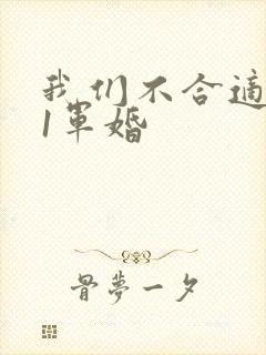 我们不合适1v1军婚