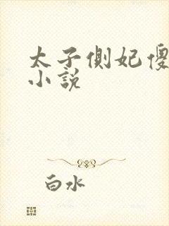 太子侧妃傻乎乎小说