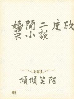 婚开二度欣欣向荣小说