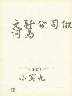 文轩公司做扩张河马