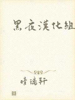 黑夜汉化组