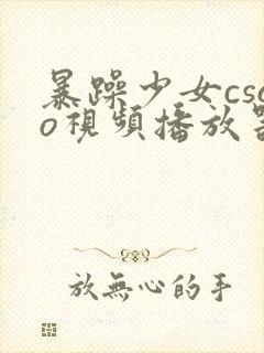 暴躁少女csgo视频播放器推荐