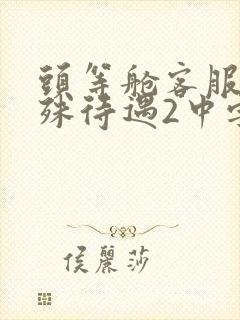 头等舱客服的特殊待遇2中字