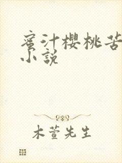 蜜汁樱桃苦咖啡小说