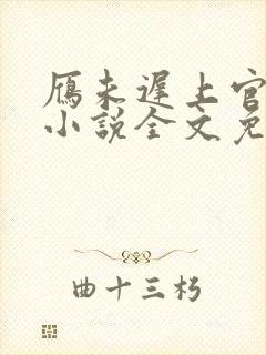 雁未迟上官穿越小说全文免费阅读