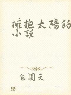 拥抱太阳的月亮小说