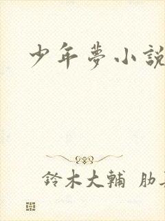 少年梦小说