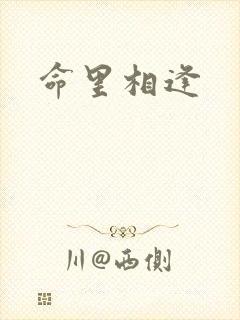 命里相逢