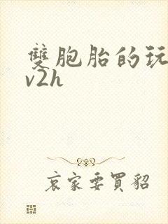 双胞胎的玩具1v2h