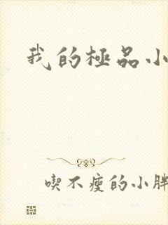 我的极品小姨