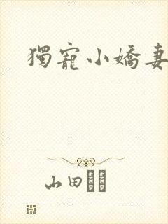 独宠小娇妻