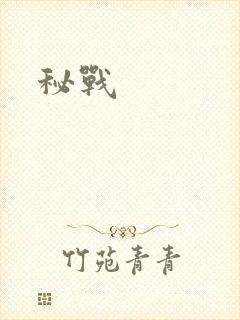 秘战