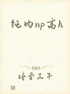 纯肉np高h