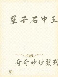 孽子石中玉