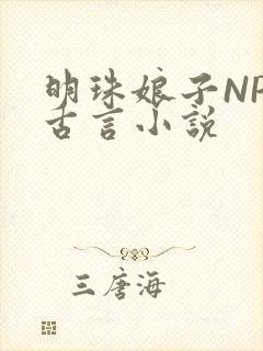 明珠娘子NPC古言小说