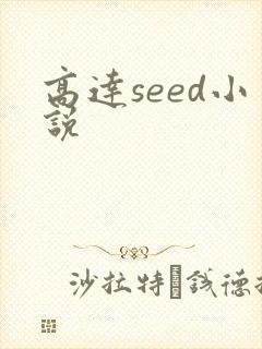 高达seed小说