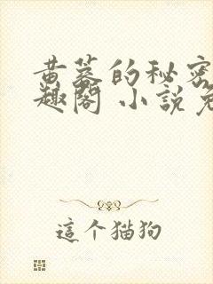 黄蓉的秘密 笔趣阁 小说免费阅读