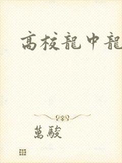 高校龙中龙