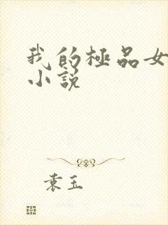 我的极品女老师小说