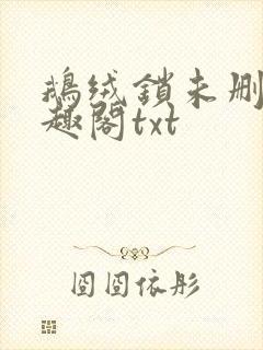 鹅绒锁未删除笔趣阁txt