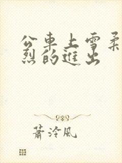 公车上雪柔被猛烈的进出