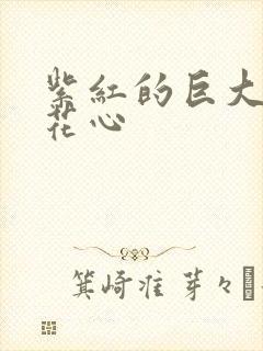 紫红的巨大顶开花心