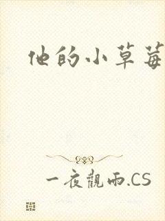 他的小草莓