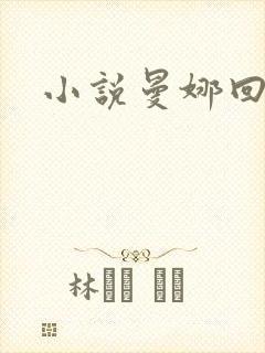 小说曼娜回忆录