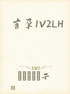 有孕1V2LH