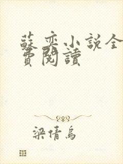 苏奕小说全文免费阅读