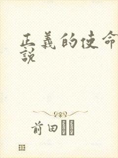 正义的使命 小说