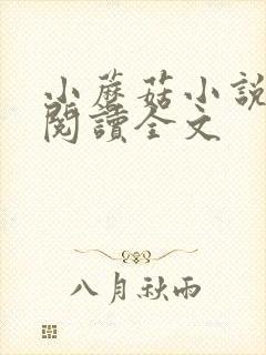 小蘑菇小说免费阅读全文