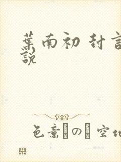 叶南初 封言小说